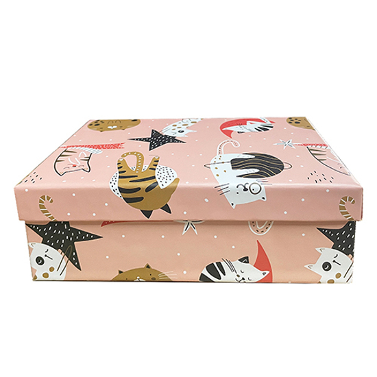 Слика на Кутија, Украсна , Gipta, Eco Random Small, BX1614 B, 120*180*70цм